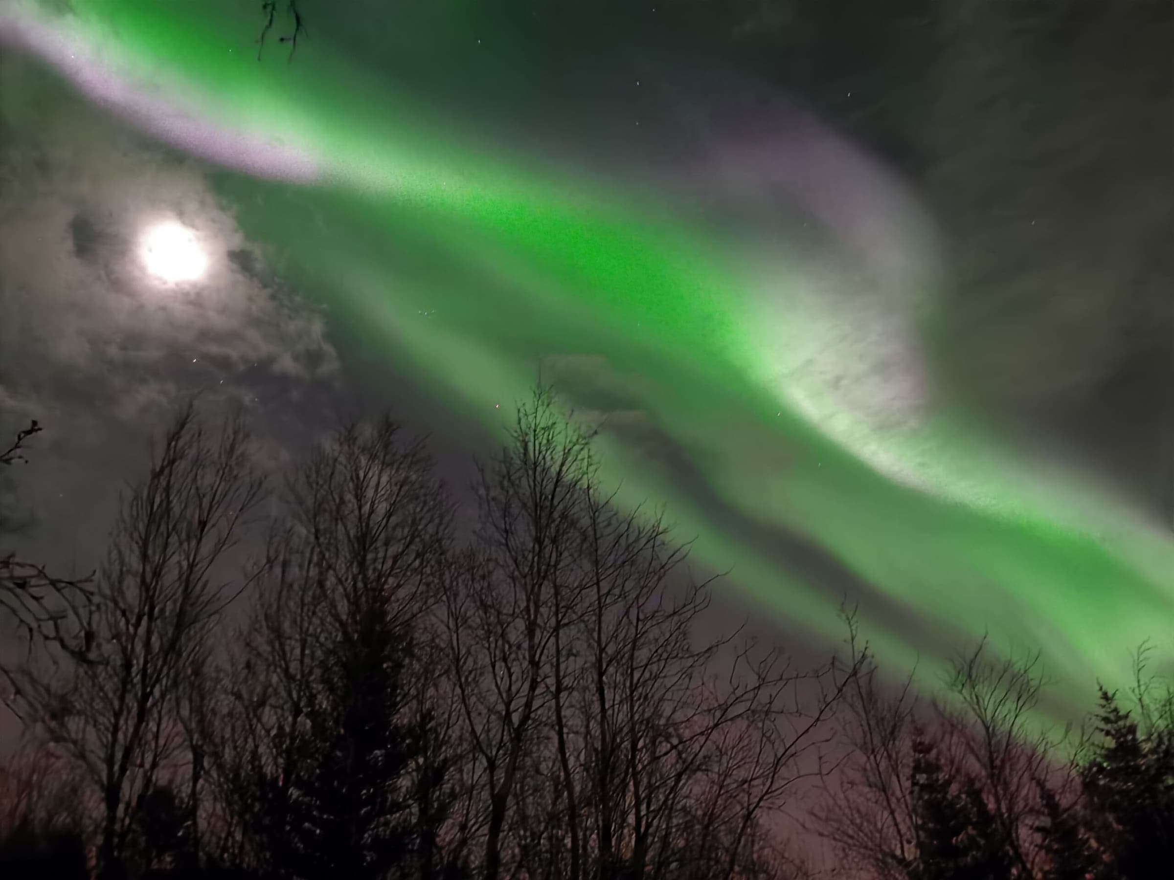Northern Lights Tour — 4