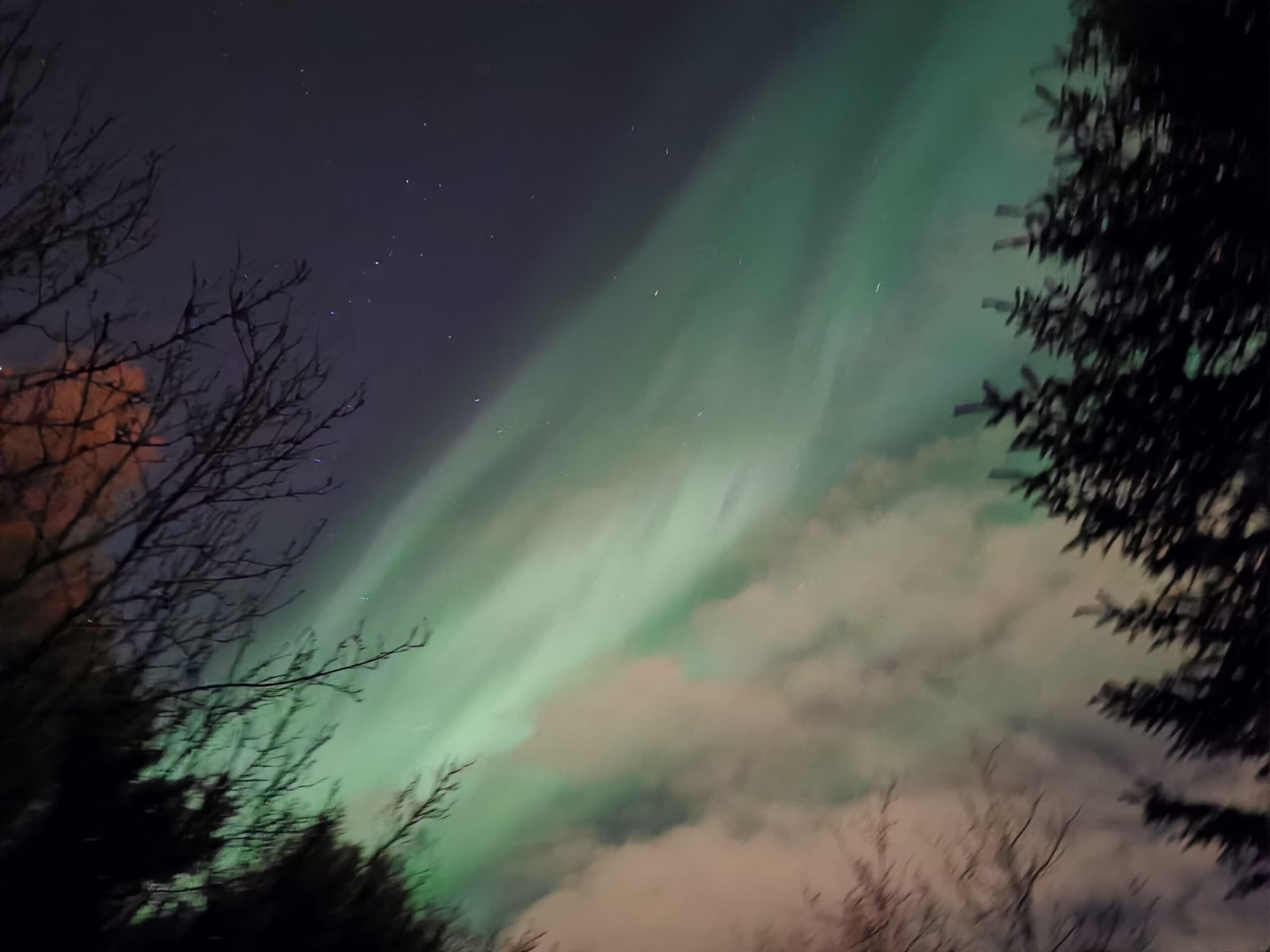 Northern Lights Tour — 3