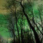 green aurora Northern lights trees