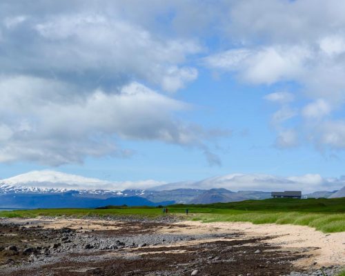Snaefellsjokull1-saltytours The shore at Ytri-Tunga with Snaefellsjokull